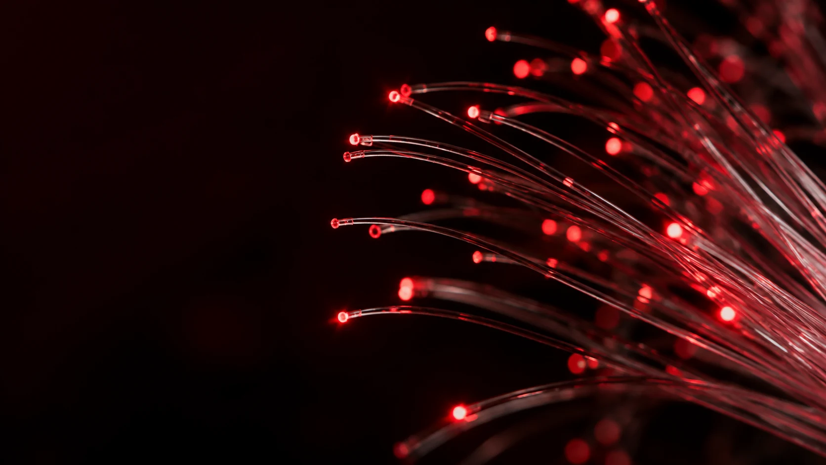 Optical fibre with luminous red tips